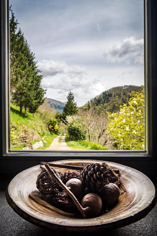 Kuninez, Holiday Home With Summer Kitchen Most na Soči Exterior foto